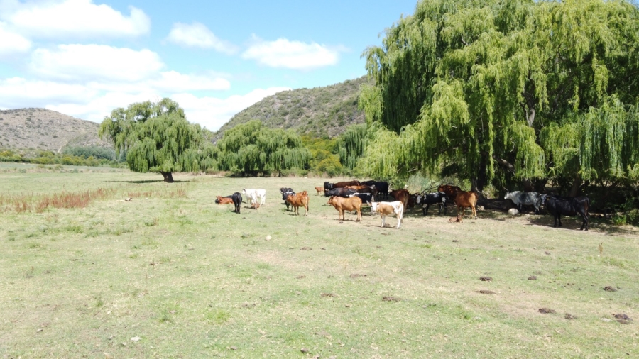 Commercial Property for Sale in Oudtshoorn Rural Western Cape